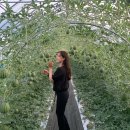 너래안농장 | 화천 청년들이 모였어요! 너래안에서 열린 팜파티 후기