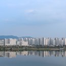 서대구시장 이미지