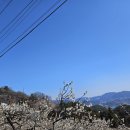 지막상점 네이버블로그