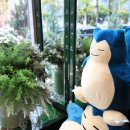 호텔 베르누이 이미지