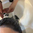 무지개트윈아파트102동 | 길음역미용실 모먼트영영 혜령원장님 톤다운 염색 후기 (두피보호+클리닉 패키지)