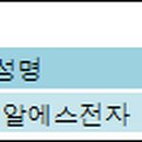 (주)케이알에스전자