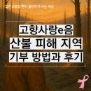 영덕점현대자동차 | 고향사랑e음 산불 피해 지역 기부 방법과 후기