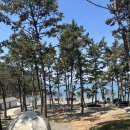 사목 | 완벽했던, 태안 사목공원 캠핑장 s4 s5 후기