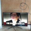 선만농장 네이버블로그