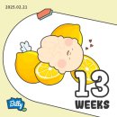 파티가는 댕댕이 | 임신 기록 6. 13-16주차 생일, 1차 기형아검사, 초음파앨범, 젠더리빌파티