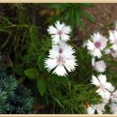 한백농장 이미지