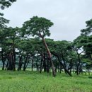 청춘극장(형) 이미지