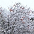 기분좋은날 - 종로구 | 기분좋은날