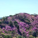 CU 강화송해점 이미지