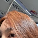 헤어살롱디얼유