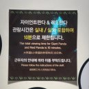 에버랜드 평일 방문 후기 스마트줄서기 놀이기구, 사파리, 판다월드, 대기 현황