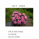 생일 축 -아내에게(디카시집) 이미지