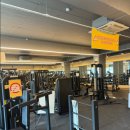 고릴라 GYM 백석대점 이미지