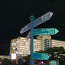 양양 푸드뱅크 | 비발디파크 눈썰매장&amp;소노펠리체실버40평이용후기