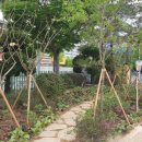 치평초교 이미지