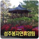 성주봉자연휴양림 이미지