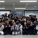 퍼팩트주짓수 이미지
