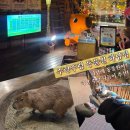 하남유니온로 | 동물원보다 더 가까운 체험! 주렁주렁 하남점 방문 후기