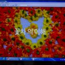 위타점꽃차협회 네이버블로그