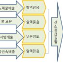 소금은 고혈압 치료제 이다 이미지