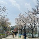 평화약국 이미지