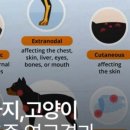 에스메디칼 이미지