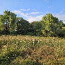 파주출판단지 근린공원(2) 이미지