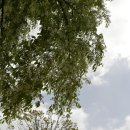 등대마을사할린 이미지