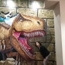 익산시보석박물관 이미지