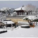 대박부동산중개사무소 이미지