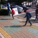 연산초등학교 앞 횡단보도 이미지