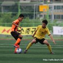 용인(강릉) 이미지