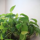 열미리보건진료소 이미지