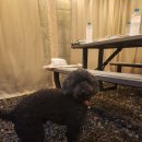 옴니버스 캠핑장 이미지