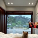 스테이옛 서로의시선 | 애견동반 충주 감성 자쿠지 숙소 스테이 옛 서로의 시선