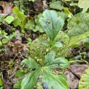 진범 농장 이미지