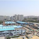 농수산물 - 4425 | 농수산물