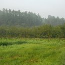 견우농장 이미지