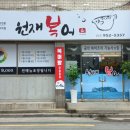 원재복어 이미지