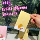 [~24.09.06 혜화] 여행, 라피치 정원에서 피어나다