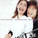 더뷰티플라이프