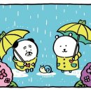 (주)맑은터