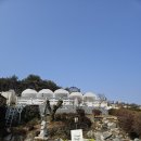 비밀의 정원 | 안면도 애견동반 카페 '트레블브레이크커피', 태안군 안면도에서 찐으로 가볼만한 카페 다녀온 솔직 후기