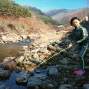 봉강 하조 오토캠핑장 이미지