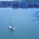 속초바다야 이미지