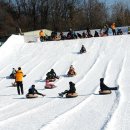 청태산목장 | [겨울 액티비티 추천] 겨울이면 꼭 즐겨야 하는 액티비티 TOP 5 – 실제 체험 기반 솔직 리뷰