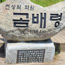 천상의 화원 곰배령 이미지