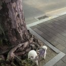 파슷타애요 계명대점