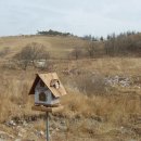 낭만목장 이미지